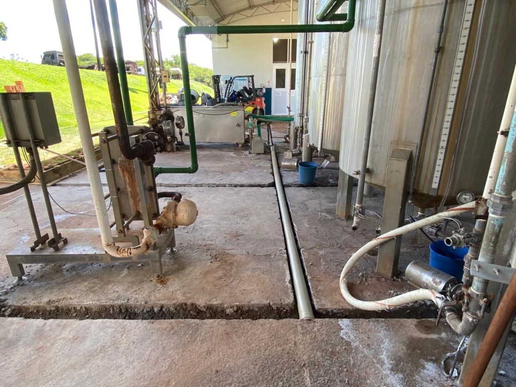 WhatsApp Image 2026-02-01 at 17.30.21 (1)